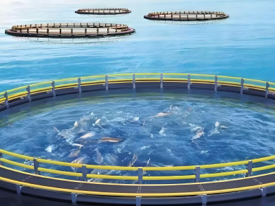 深水养殖模块